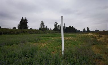 Parcela en Venta en Chacra La Primavera Lampa