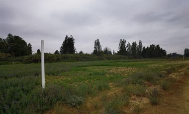 Parcela en Venta en Chacra La Primavera Lampa