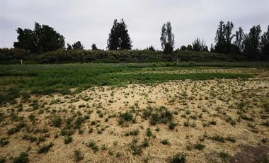 Parcela en Venta en Chacra La Primavera Lampa