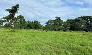 GRAN EXTENSION DE ESTE RANCHO EN ACAPETAHUA CHIAPAS.