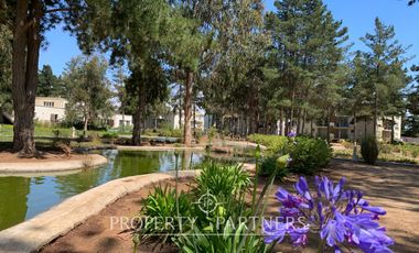 Algarrobo, departamento con linda vista