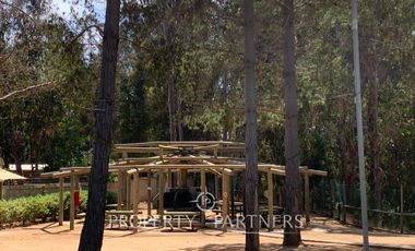 Algarrobo, departamento con linda vista