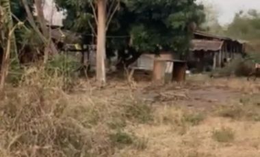 Land for sale in On Klang, Chiang Mai