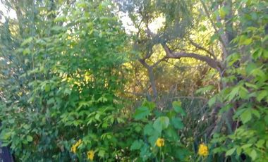 Terreno en venta - 1.200mts2 - Ensenada