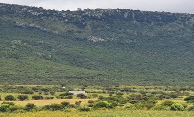 RANCHO EN VENTA CERCA DE ZIRANDARO, SAN MIGUEL DE ALLENDE