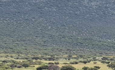 RANCHO EN VENTA CERCA DE ZIRANDARO, SAN MIGUEL DE ALLENDE