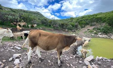 RANCHO EN VENTA CERCA DE ZIRANDARO, SAN MIGUEL DE ALLENDE