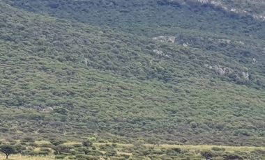 RANCHO EN VENTA CERCA DE ZIRANDARO, SAN MIGUEL DE ALLENDE