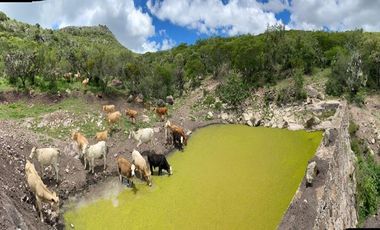 RANCHO EN VENTA CERCA DE ZIRANDARO, SAN MIGUEL DE ALLENDE