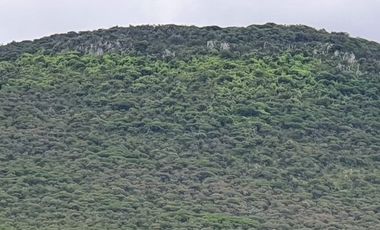 RANCHO EN VENTA CERCA DE ZIRANDARO, SAN MIGUEL DE ALLENDE