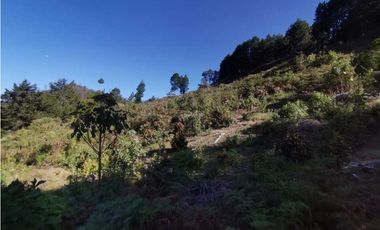 Lote independiente para la venta en vía don Diego la ceja (LDC)