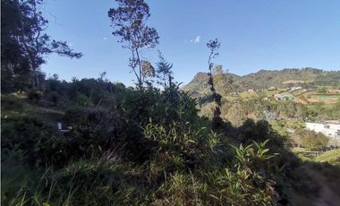 Lote independiente para la venta en vía don Diego la ceja (LDC)