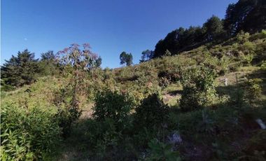 Lote independiente para la venta en vía don Diego la ceja (LDC)