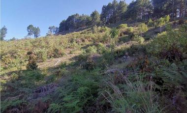 Lote independiente para la venta en vía don Diego la ceja (LDC)