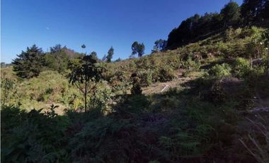 Lote independiente para la venta en vía don Diego la ceja (LDC)