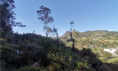 Lote independiente para la venta en vía don Diego la ceja (LDC)