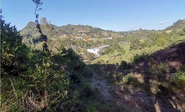 Lote independiente para la venta en vía don Diego la ceja (LDC)