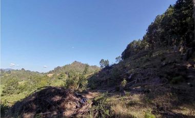 Lote independiente para la venta en vía don Diego la ceja (LDC)