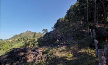 Lote independiente para la venta en vía don Diego la ceja (LDC)