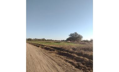 VENTA CAMPO 320 HA QUINES LA CANDELARIA SAN MIGUEL SAN LUIS