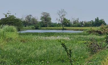 Land for sale in Doi Lan, Chiang Rai