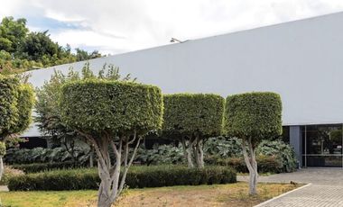 Local comercial en renta  en Ex Hacienda Coapa, Tlalpan