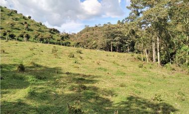 Lote Vereda Pantanillo El Retiro