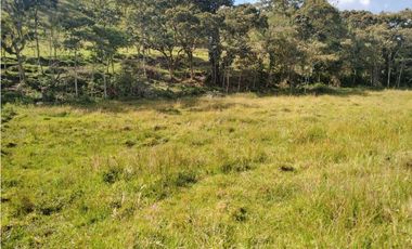 Lote Vereda Pantanillo El Retiro