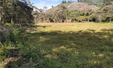 Lote Vereda Pantanillo El Retiro