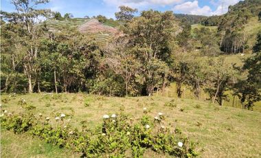 Lote Vereda Pantanillo El Retiro