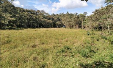 Lote Vereda Pantanillo El Retiro
