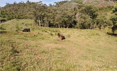Lote Vereda Pantanillo El Retiro