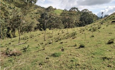 Lote Vereda Pantanillo El Retiro