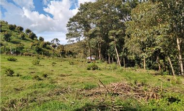 Lote Vereda Pantanillo El Retiro