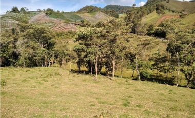 Lote Vereda Pantanillo El Retiro
