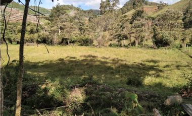 Lote Vereda Pantanillo El Retiro