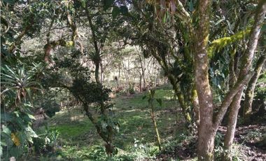 Lote Vereda Pantanillo El Retiro