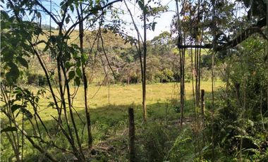 Lote Vereda Pantanillo El Retiro