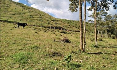 Lote Vereda Pantanillo El Retiro