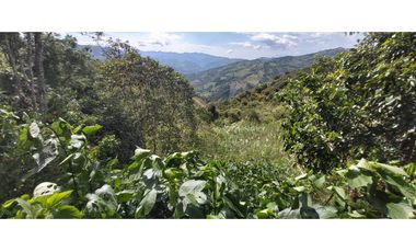 Vendo Finca Productiva en la vega Cund