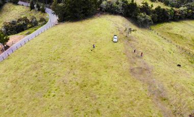 Lote ideal para Ecohotel   sector de Pantanillo/Envigado