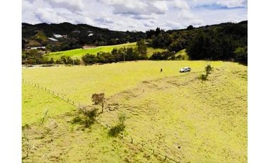 Lote ideal para Ecohotel   sector de Pantanillo/Envigado