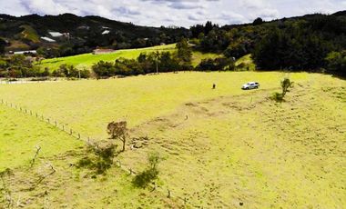 Lote ideal para Ecohotel   sector de Pantanillo/Envigado
