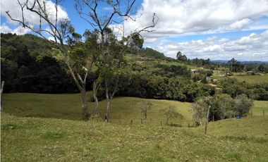 Lote ideal para Ecohotel   sector de Pantanillo/Envigado