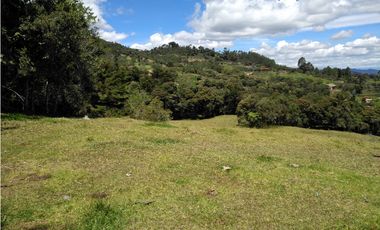 Lote ideal para Ecohotel   sector de Pantanillo/Envigado