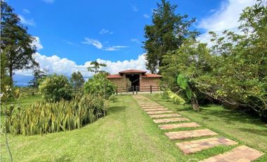 Finca Vía Rionegro - Carmen Viboral