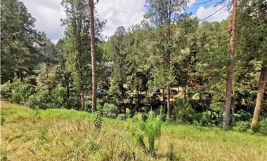 Venta Lote en Parcelación El Retiro