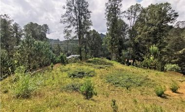 Venta Lote en Parcelación El Retiro