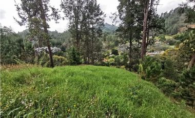 Venta Lote en Parcelación El Retiro