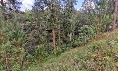 Venta Lote en Parcelación El Retiro